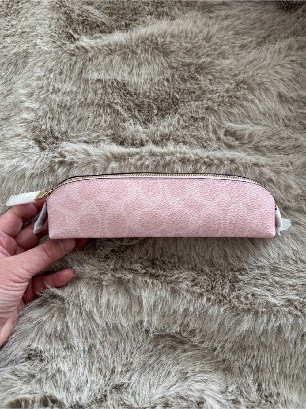 Coach Powder Pink Leather Cosmetic Pouch with Gold Hardware